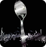 the spoon