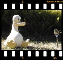 spoon and duck